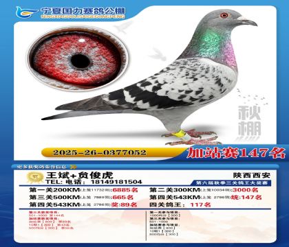 国力秋棚加站赛147名