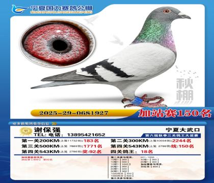 国力秋棚加站赛150名