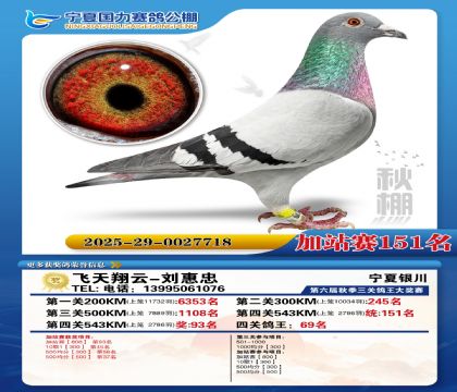 国力秋棚加站赛151名