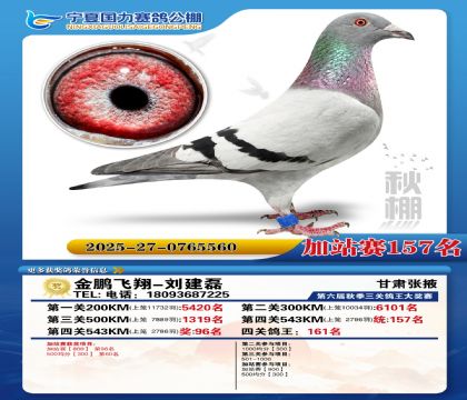 国力秋棚加站赛157名