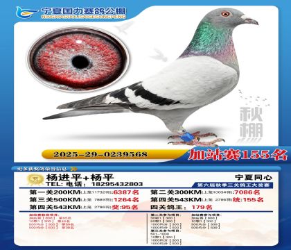 国力秋棚加站赛155名