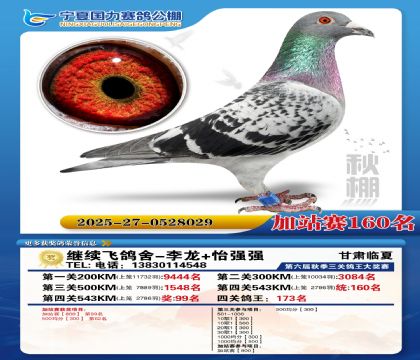 国力秋棚加站赛160名