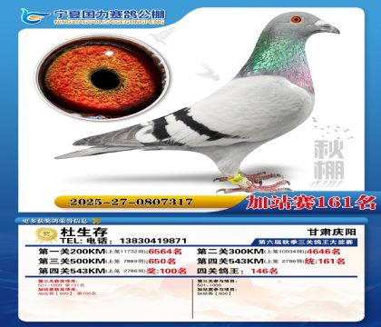 国力秋棚加站赛161名