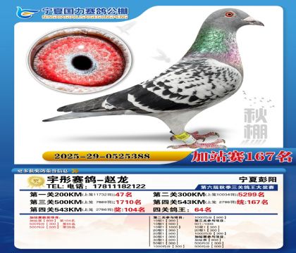 国力秋棚加站赛167名