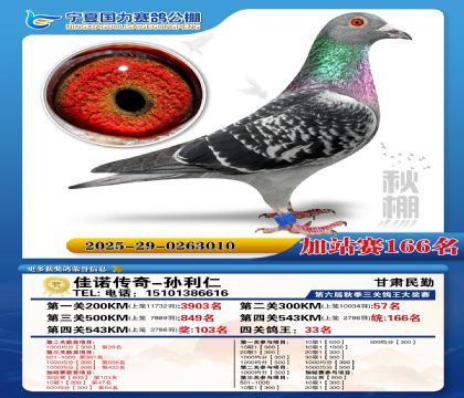 国力秋棚加站赛166名