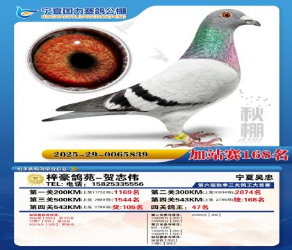 国力秋棚加站赛168名