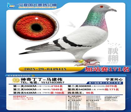 国力秋棚加站赛171名