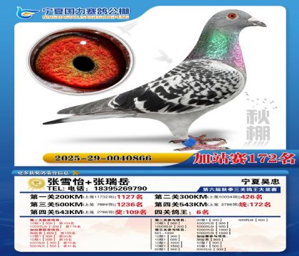 国力秋棚加站赛172名