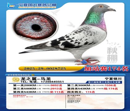 国力秋棚加站赛174名