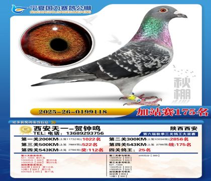 国力秋棚加站赛175名