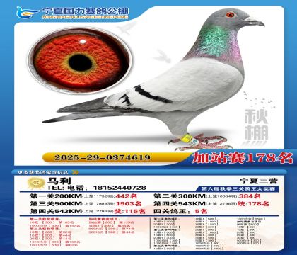 国力秋棚加站赛178名