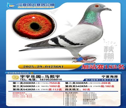 国力秋棚加站赛182名