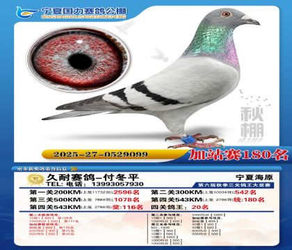 国力秋棚加站赛180名