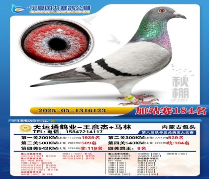 国力秋棚加站赛184名