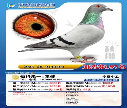 国力秋棚加站赛187名