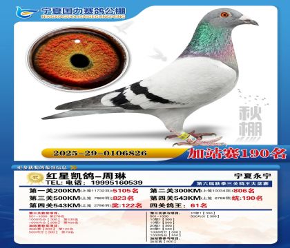 国力秋棚加站赛190名