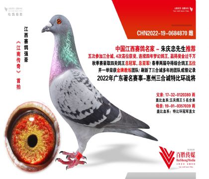 V|\(chng) (zhn)-0684870