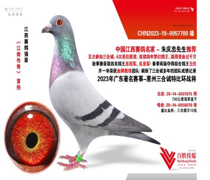 V|\(chng) (zhn)-0957780