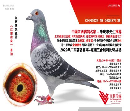 V|\(chng) (zhn)-0684872