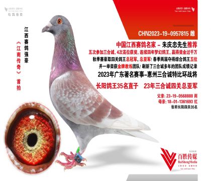 V|\(chng) (zhn)-0957815