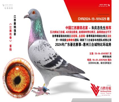 V|\(chng) (zhn)-1014329