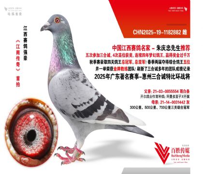 V|\(chng) (zhn)-1182882