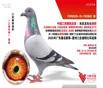 V|\(chng) (zhn)-1182883