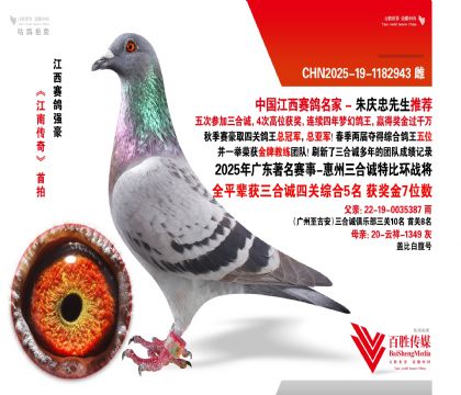 V|\(chng) (zhn)-1182943