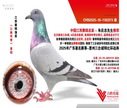 V|\(chng) (zhn)-1182973