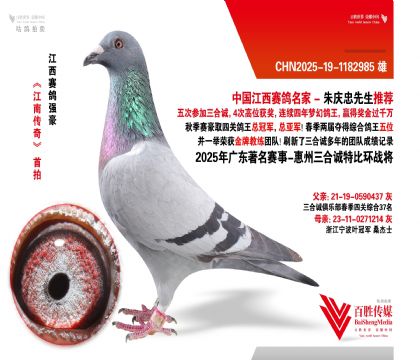 V|\(chng) (zhn)-1182985