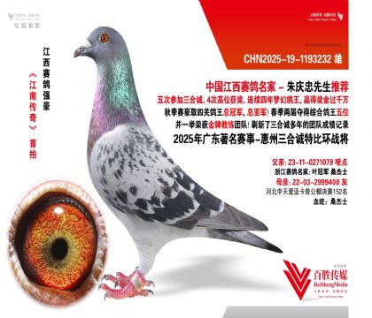 V|\(chng) (zhn)-1193232