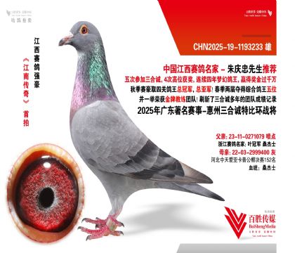 V|\(chng) (zhn)-1193233