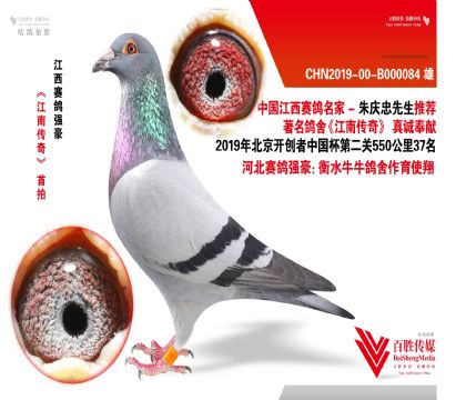 ӱţţᡶ_(chung)37-B000084