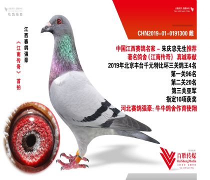 ӱţţᡶS_ر-0191300