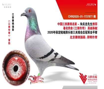 I(y) CϹ܊ƽ݅-1737877