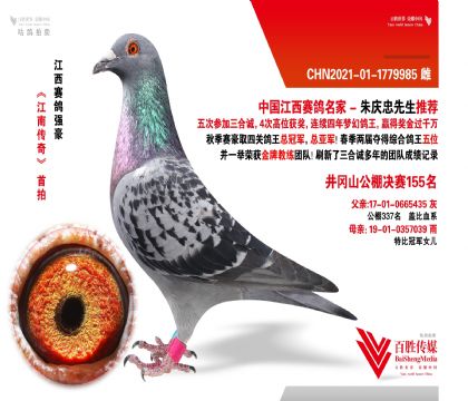 ɽ?jng)Qِ155-1779985