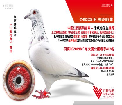 ܎?sh)?@ʯѪϵ-0050199