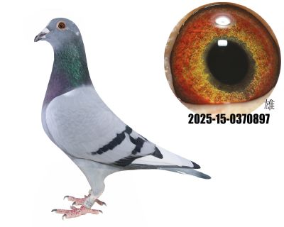 ^o(w)Hйţ@ʯ䌦(du)ֱ