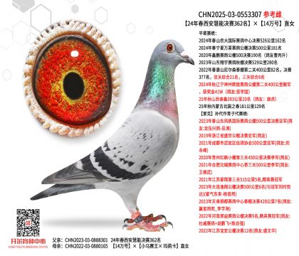 24괺ܛQِ36214fֱ̖Ů