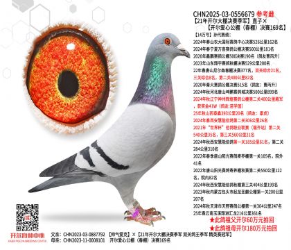 21_Qِ܊ֱӡ_ĹQِ169