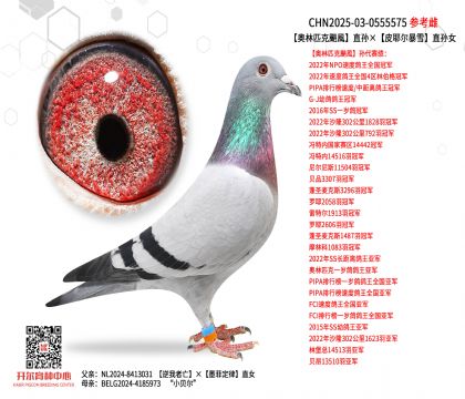 WƥZL(fng)ֱOƤҮѩֱOŮ