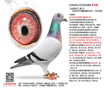 ƴֱӡ24|(chung)Qِ765P(gun)10