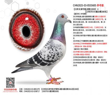 23?jng)Qِ32823_Qِ280