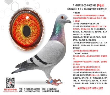 Iֱӡ24괺cꖵ۬qQِ92