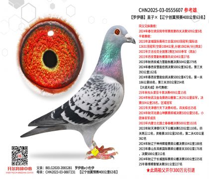 _ֱӡ|(chung)A(y)ِ40063