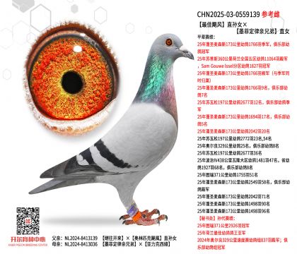 ZL(fng)ֱOīƶHֱֵŮ