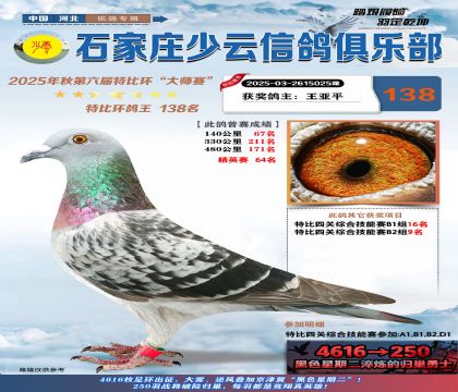 石家莊少云特比鴿王138名