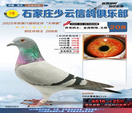 石家莊少云特比鴿王208名