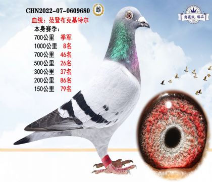 范登布克基特爾 本身賽季700公里季軍