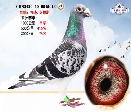 福洛.英格斯 本身賽季1000公里季軍